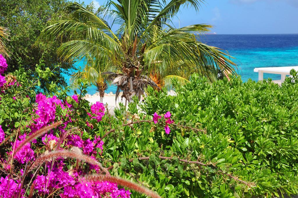 Hilltop Sea View , Boca Gentil Willemstad Buitenkant foto